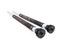 Harley Davidson Softail Fatbob / Low Rider S Öhlins TTX22 cartridge kit - Pitboxen Performance