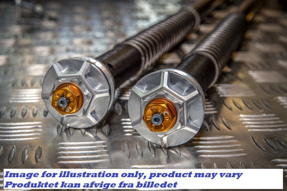 Ducati Hyperstrada 821 "LOW" 2013 - 2015: Andreani Justerbar Cartridge kit "MISANO EVO" - Pitboxen Performance